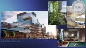 collage of building images