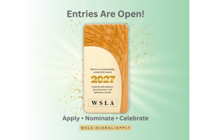 Entries are open! 2027 Women in Sustainability Leadership Awards - apply