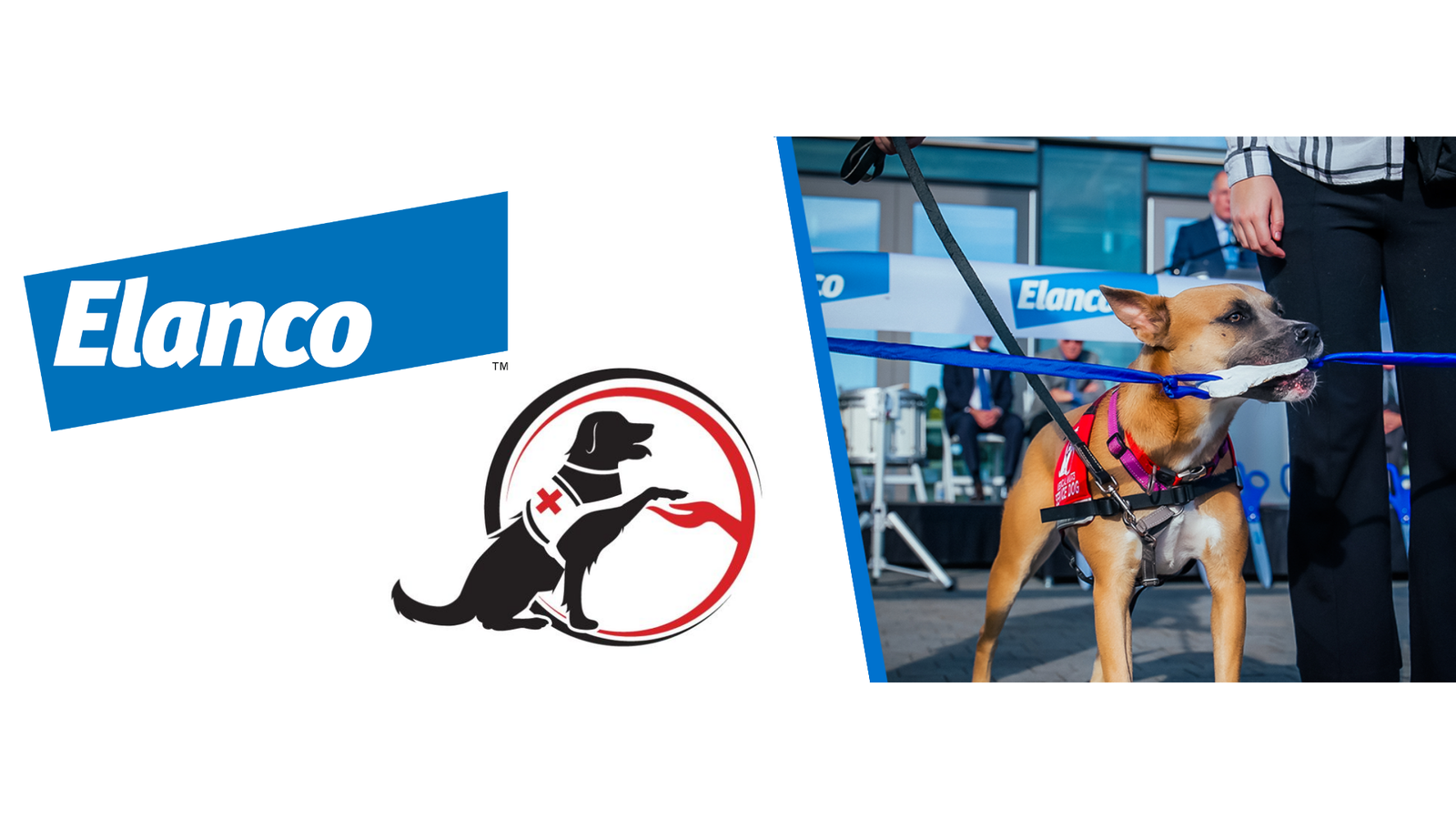 Mutts With a Mission: How Elanco and Medical Mutts Transform Lives Together