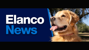 "Elanco News" with photo of golden retriever